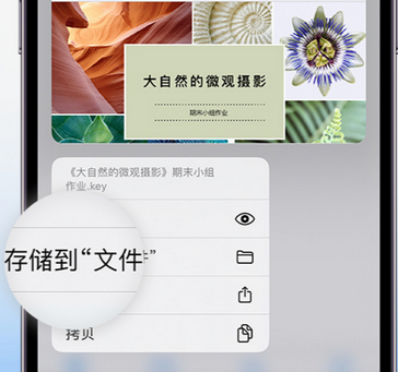 阿拉山口apple维修中心分享iPhone文件应用中存储和找到下载文件