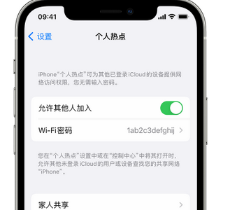 阿拉山口apple服务站点分享iPhone上个人热点丢失了怎么办