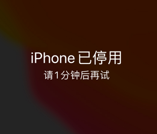 阿拉山口苹果手机维修分享:iPhone 显示“不可用”或“已停用”怎么办？还能保留数据吗？ 