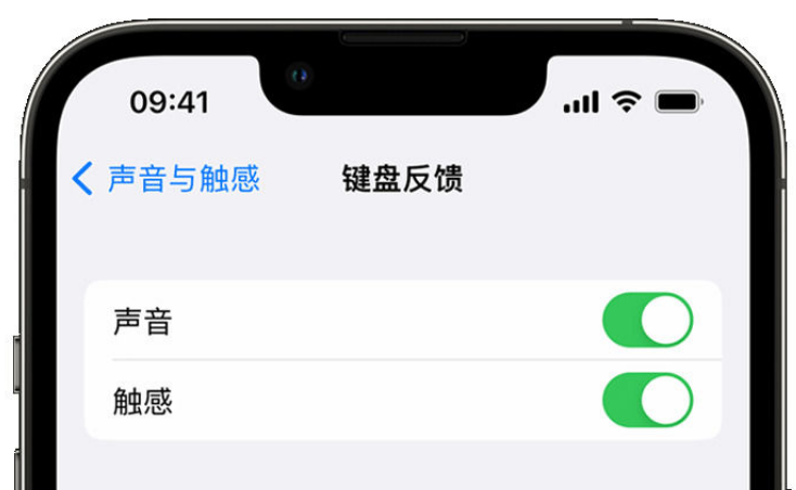 阿拉山口苹果手机维修分享iPhone 14触感键盘使用方法 