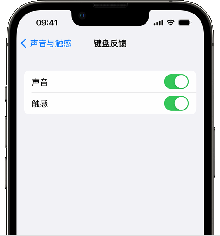 阿拉山口苹果14维修店分享如何在 iPhone 14 机型中使用触感键盘 