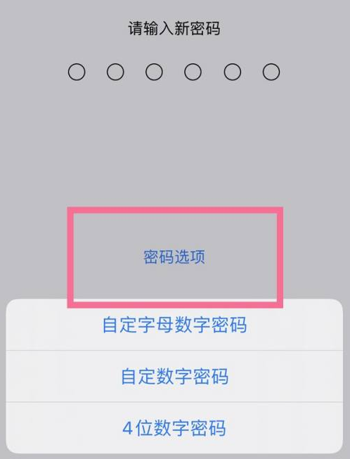 阿拉山口苹果14维修分享iPhone 14plus设置密码的方法 