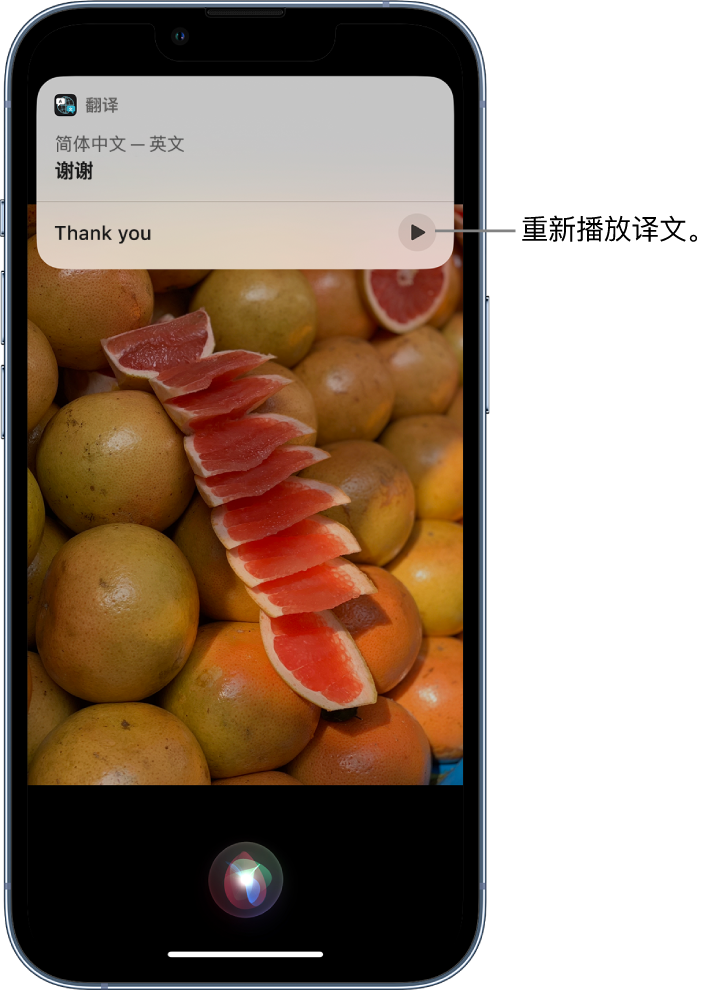 阿拉山口苹果14维修分享 iPhone 14 机型中使用 Siri：了解 Siri 能帮你做什么 