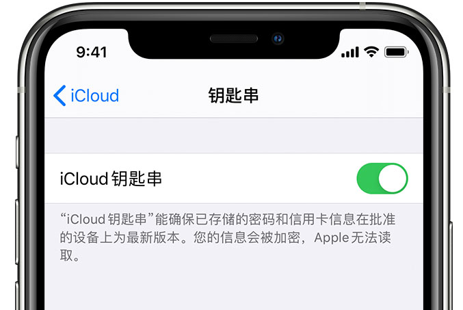 阿拉山口苹果手机维修分享在 iPhone 上开启 iCloud 钥匙串之后会储存哪些信息 