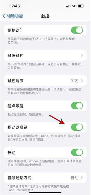 阿拉山口苹果手机维修分享iPhone手机如何设置摇一摇删除文字 